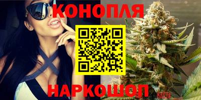 прущая мука Гай