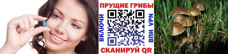 Псилоцибиновые грибы Cubensis Екатеринбург