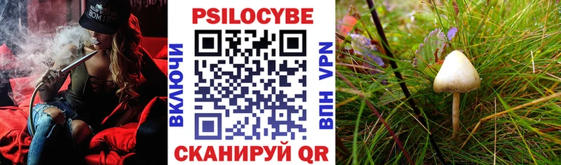 Галлюциногенные грибы Psilocybine cubensis  ссылка на мегу как зайти  это официальный сайт  хочу наркоту  Екатеринбург 